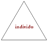 Triangle isocle: individu 
